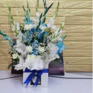 Blue Love Theme Gladius Box