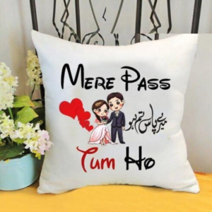 Mere Pass Tum ho Cushion Special Collection