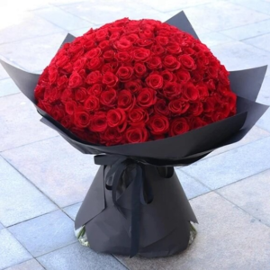 Imported Red Roses 200