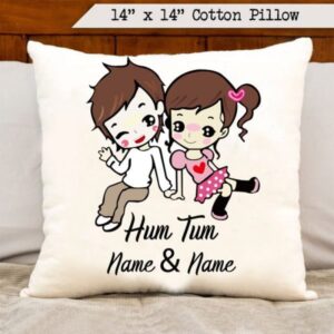 Hum Tum Cushion