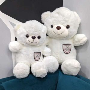 Teddy Pair